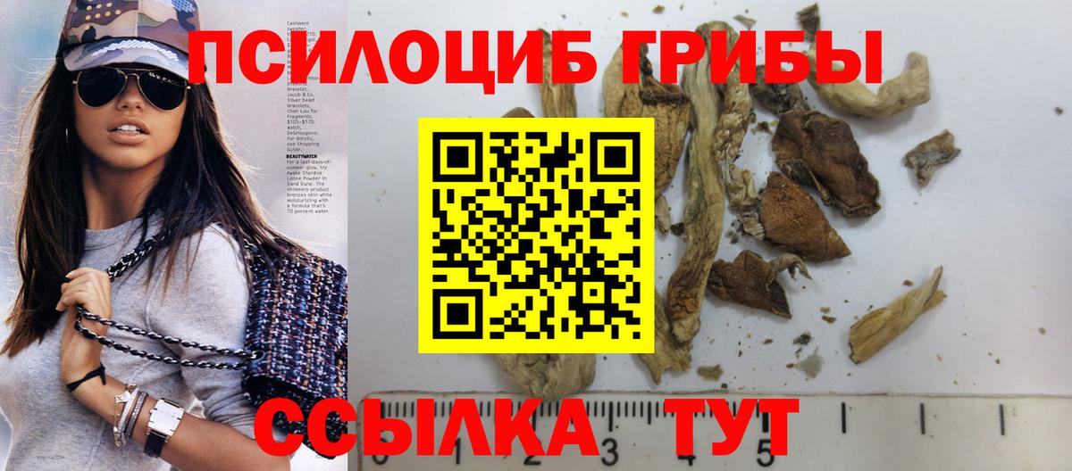Рыбинск  Псилоцибиновые грибы мицелий  Вход с VPN 